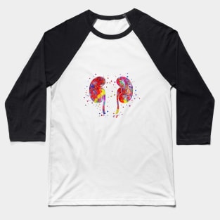 The kidneys anatomy Baseball T-Shirt